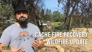 Cache Fire Recovery Update