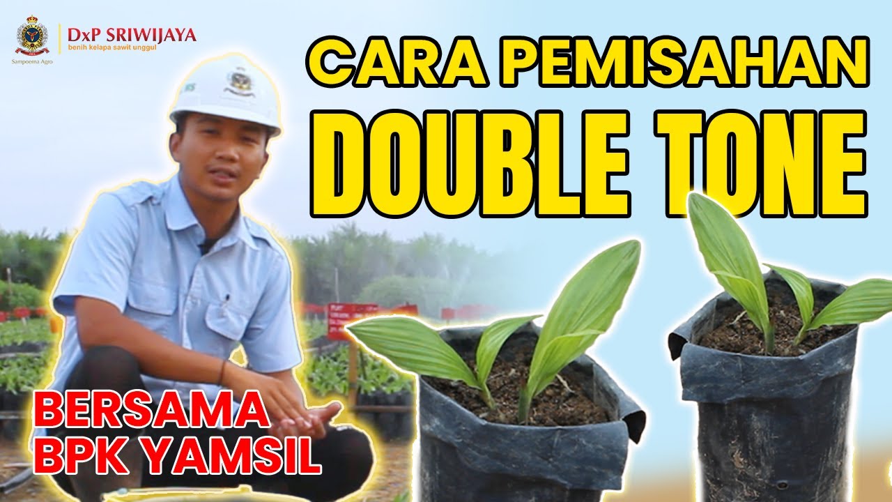 CARA PEMISAHAN DOUBLE TONE