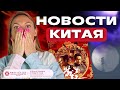 Новости Китая | Нехватка китаистов в России | 133-я Кантонская ярмарка