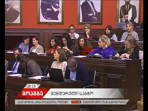 გენდერული თანასწორობის საბჭომ ვანო ზარდიაშვილი და გია ვოლსკი ეთიკის წესების დარღვევაში დაადანაშაულა