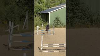 ORGINAL VIDEO - Jumping lessonπ΄ #shorts #horse