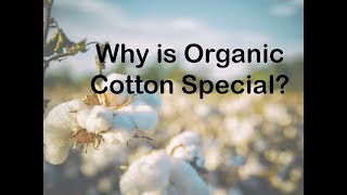 Why is Organic Cotton Special?