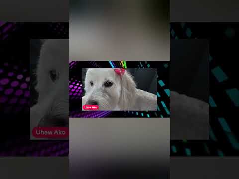 Mika is Uhaw cover