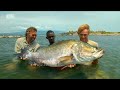 Animal Planet - Zapowiedzi i bloki reklamowe - 02.03.2016