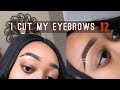 ATTEMPTING THE EYEBROW WITH SLIT