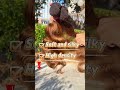 Sunkissed 4/27 Highlights! 🍯🍂