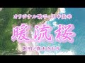 暖流桜(川中美幸さん)唄/真木さおり