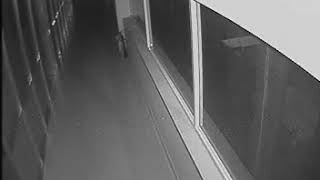 182 168 0 242 10 20180107 2300006