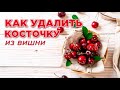 🍒Как удалить КОСТОЧКИ из ВИШНИ 🍒 6 способов / Наталья Калинина