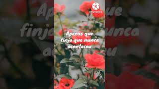 White Lie (The Lumineers) legendada