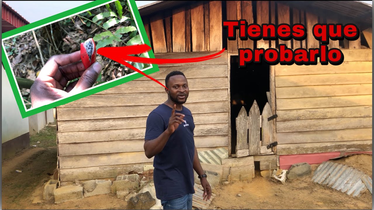 PASANDO EL DÍA EN UN PUEBLO AFRICANO (PARTE 1/2)