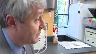 Upstate Lab Concocting Universal Flu Vaccine