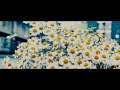 SHORT'S 「カモミール」Official Music Video