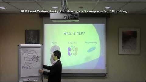 Quicker success through NLP Modelling