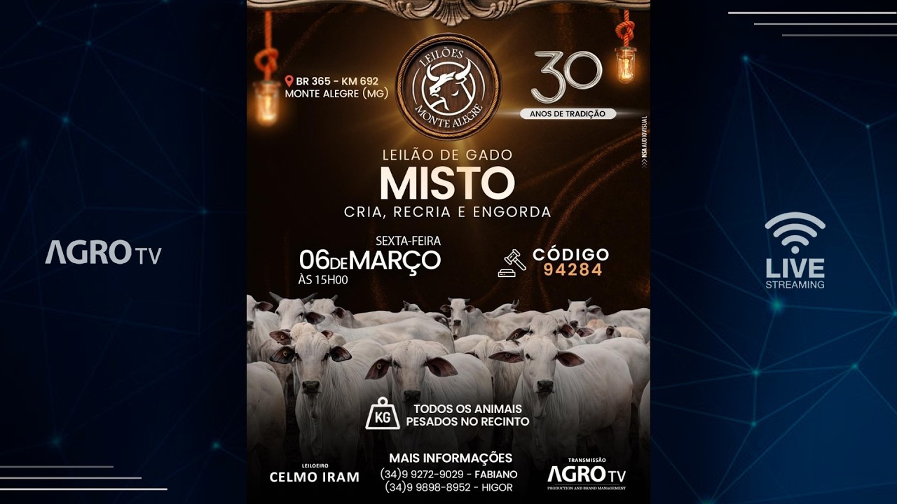 LEILÕES MONTE ALEGRE