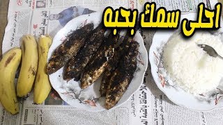 انهاردة اتغديت احلى سمك بحبه