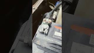 The 83 Lives To Work Another Year.