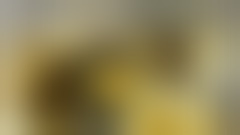 When Shukuchi fucks you