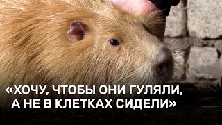 Жительница поселка Соколовый держит на участке страуса, павлинов и нутрию