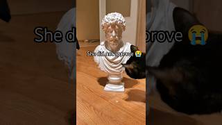 #3dprinting #marcusaurelius #aurelius #art #stoic #stoicism #cat #catreaction #sculpture #funny