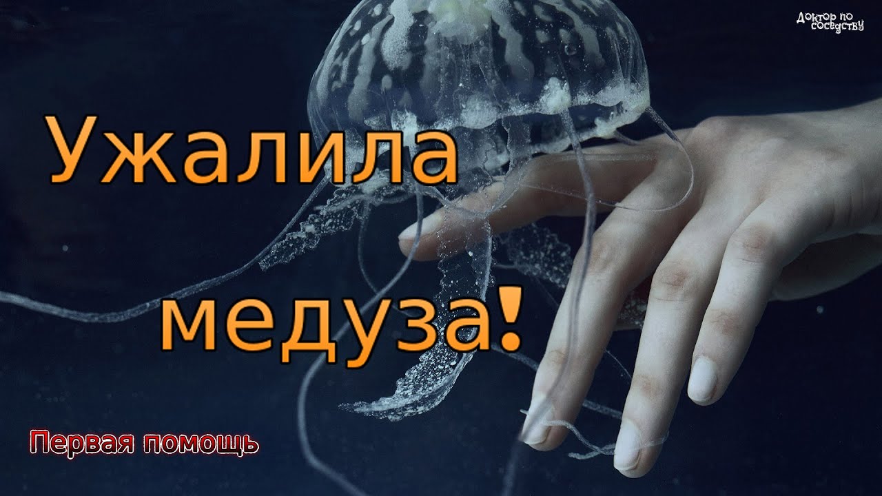 Что делать, если ужалила медуза? Первая помощь. / What to do if a jellyfish stings? First aid.