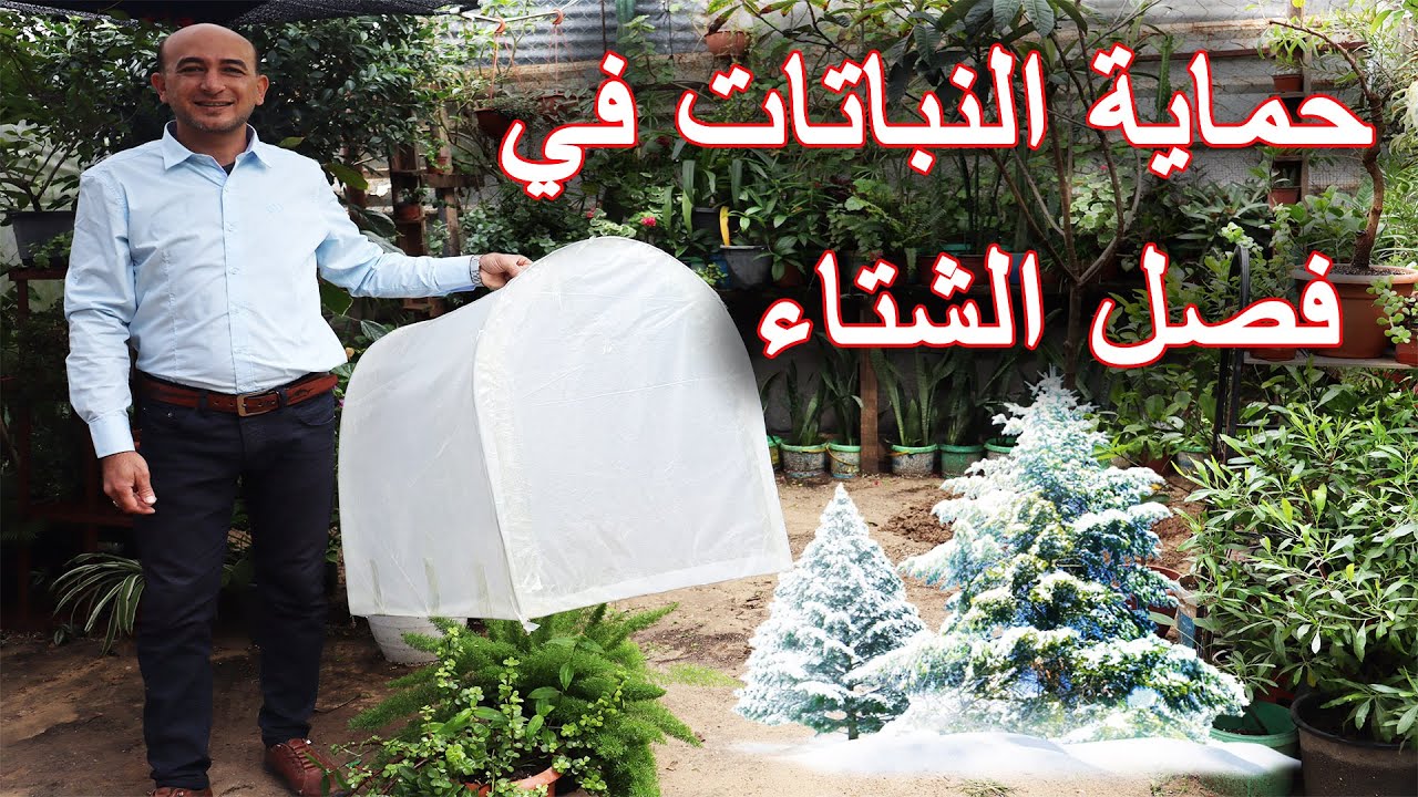 طرق حماية النباتات و الاشجار في فصل الشتاء و من الصقيع, Protecting Plants and Trees in Winter