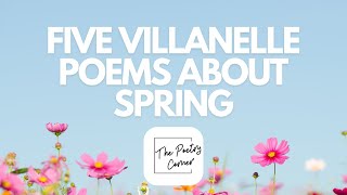 Exclusive Five Villanelle Poems About Spring #poetry #thepoetrycorner #springpoems Profile