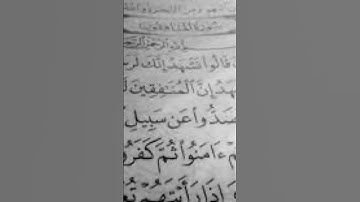 سورة المنافقون( آرح قلبك وأستمع إلى القرآن الكريم)