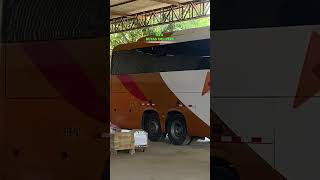 Móvil Bus Por Pucallpa.