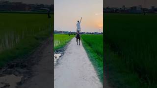 Top trending video pk#pakistanioststauts #horseriding #horselove #trending