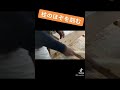 宮大工が柱を刻む