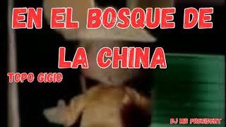 En El Bosque De La China / Topo Gigio (Lyrics/letra)