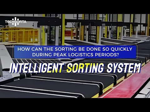 Intelligent Sorting System | Boost Speed. Eliminate Errors. Optimize Every Parcel | Techsorta