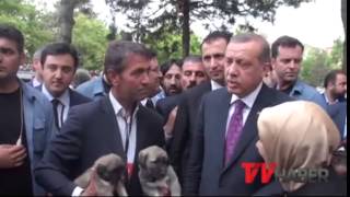 Cumhurbaşkanı Erdoğan'ı şaşırtan Malakalı köpekler
