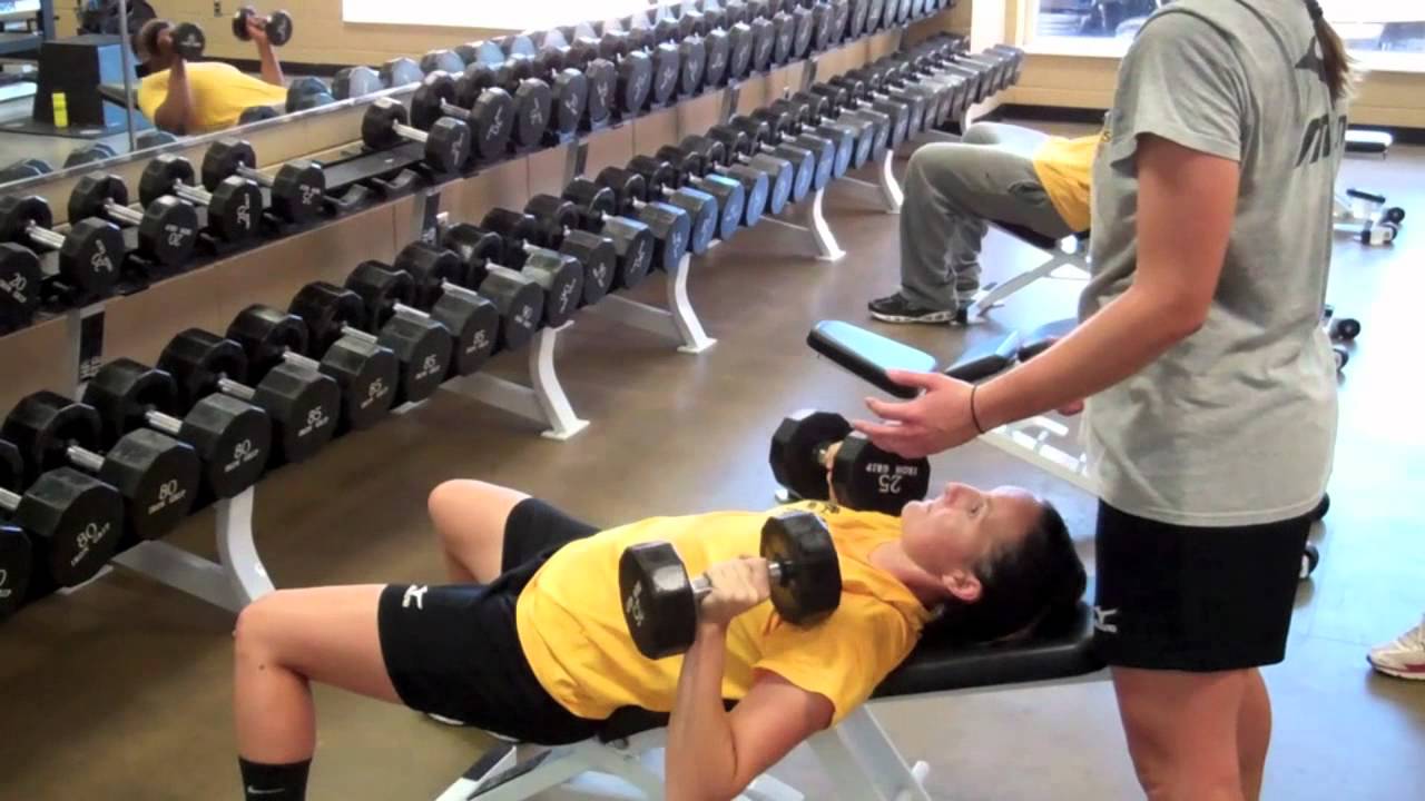 Southern Miss Softball YouTube southern-miss-softball-youtube