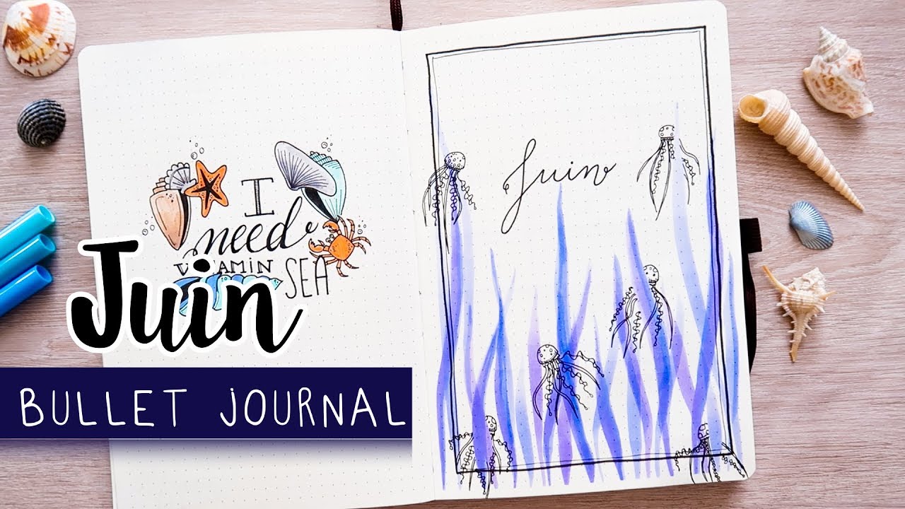 PLAN WITH ME | Bullet Journal JUIN - YouTube