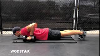 Dumbbell Push Up