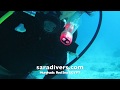 Hurghada Dive Tour (RedSea Egypt) ハルガダでダイブツアー ( エジプト紅海 )