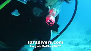 Hurghada Dive Tour (RedSea Egypt) ハルガダでダイブツアー ( エジプト紅海 )