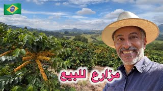 مزارع القهوة / أجمل عروض مزارع للبيع في البرازيل 🇧🇷 