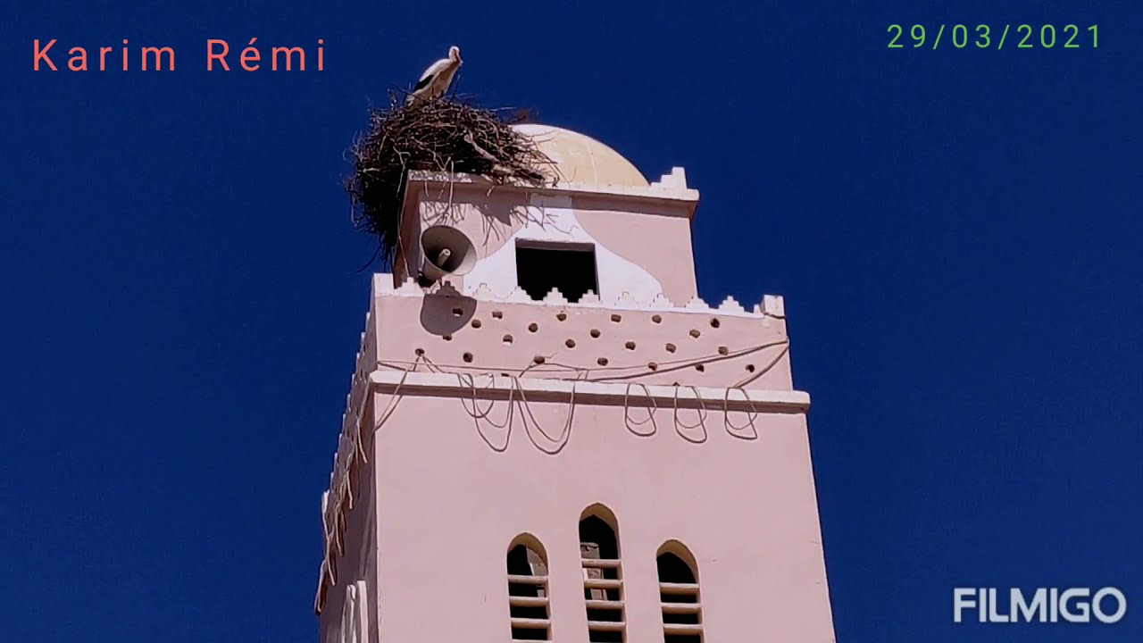 ساحتي مسجد بلال بن رباح و مسجد ابي بكر الصديق🌷 مدينة تيسمسيلت