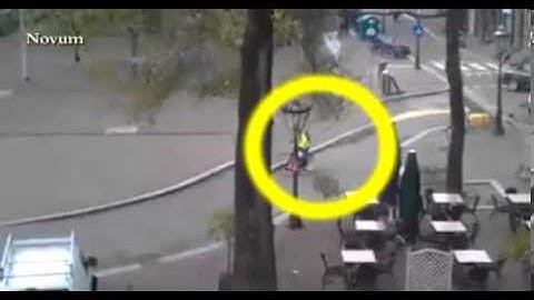 Falling Tree Nearly Kills Cyclist during Storm in the Netherlands