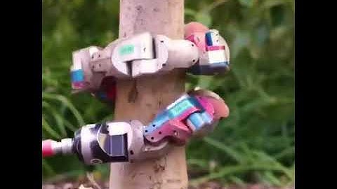 “Robotic snake that can climb trees! 🐍 🤖 ⠀⠀ ⠀⠀ Via @freethink     Follow us @hypeinventions Follo