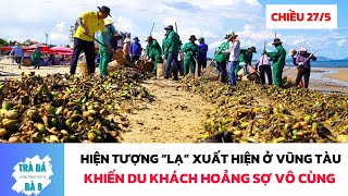 Thời Sự 24H: Hiện Tượng ‘Lạ’ Xuất Hiện Ở Bãi Biển Vũng Tàu Khiến Du Khách Hoang Mang