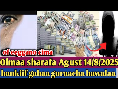 Olmaa Sharafa Agust 14 8 2025 Karaa Bankif Gabaa Gurachaa Of Eeggano Ammas Guddaa Kebekiofficial