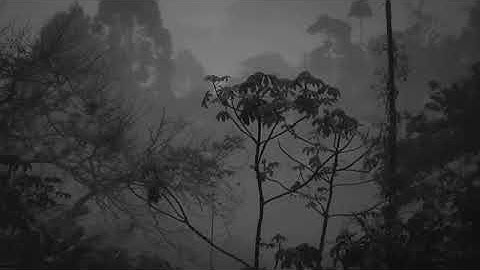 سورة هود مع صوت المطر والرعد 🌧️🌧️