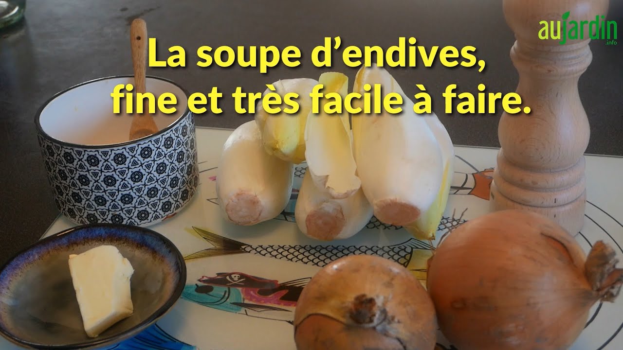 La SOUPE d'ENDIVES, une RECETTE FINE et FACILE à FAIRE