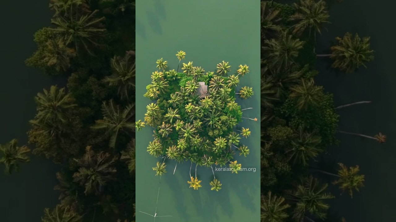 Kuzhupilly Beach | A Verdant Shoreline on Vypin Island