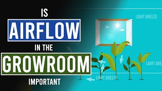 Importance of Good Airflow in Your Grow-room Resimi