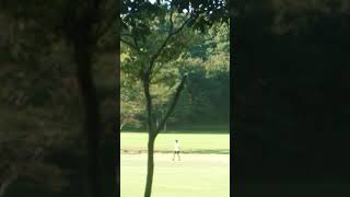 伊藤貫さん『歴史に残る外交三賢人』を解説します。